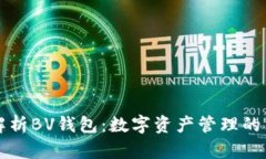 全面解析BV钱包：数字资产管理的新未来