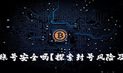 tpWallet账号安全吗？探索封号风险及防范措施