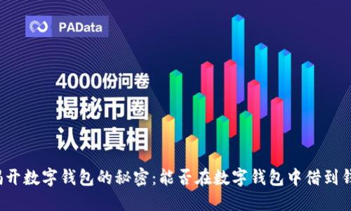 揭开数字钱包的秘密：能否在数字钱包中借到钱？