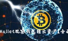 如何安全高效地从tpWallet观察钱包转出资产？全面