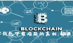 : 揭开挪威数字钱包下载难题的真相：解决方案与