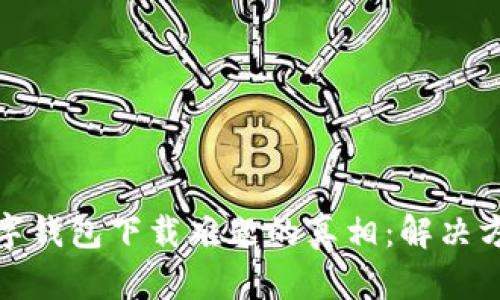 : 揭开挪威数字钱包下载难题的真相：解决方案与实用指南