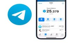 tpWallet实时显示金额的机制解析：用户需了解的关