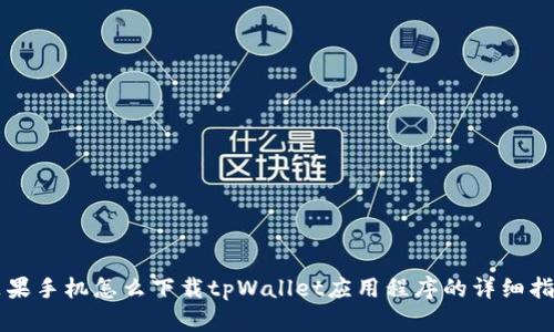 苹果手机怎么下载tpWallet应用程序的详细指南