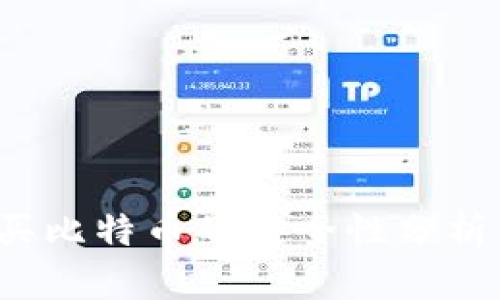 tpWallet：买比特币的安全性分析与用户指南