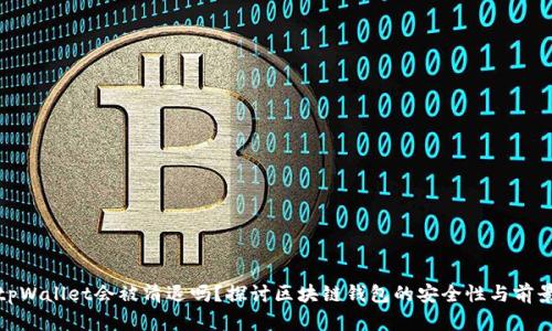 tpWallet会被清退吗？探讨区块链钱包的安全性与前景