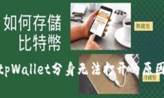  深入探讨：tpWallet分身无法打开的原因及解决方