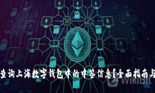 如何高效查询上海数字钱包中的中签信息？全面指南与实用技巧
