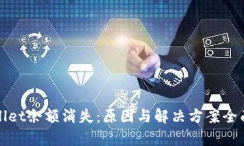 tpWallet余额消失：原因与解决方案全面解析
