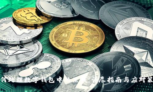 如何处理数字钱包中的黑钱：详尽指南与应对策略