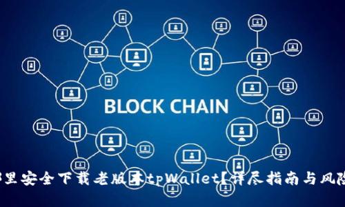  在哪里安全下载老版本tpWallet？详尽指南与风险解析