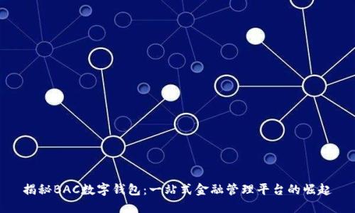 揭秘BAC数字钱包：一站式金融管理平台的崛起