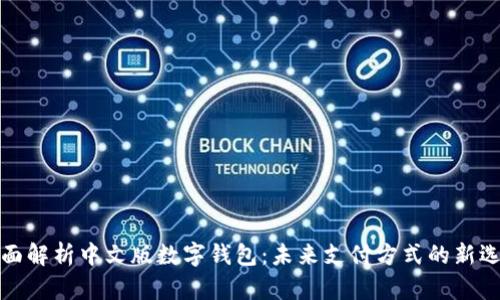全面解析中文版数字钱包：未来支付方式的新选择