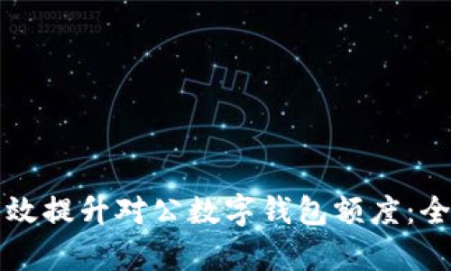 如何有效提升对公数字钱包额度：全面指南