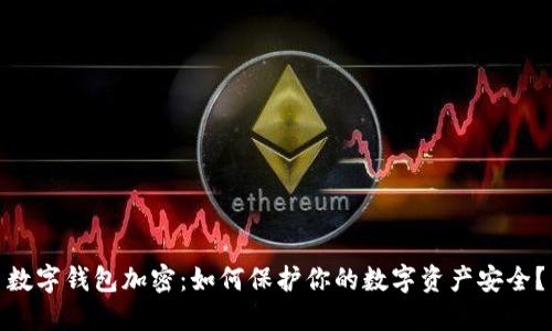 数字钱包加密：如何保护你的数字资产安全？