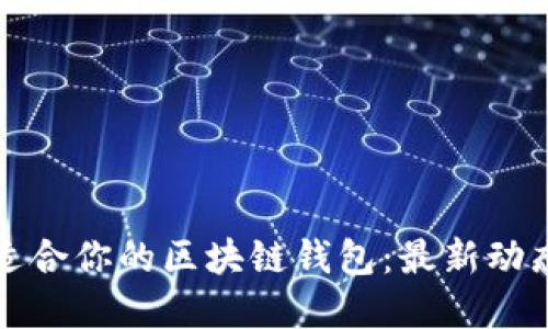 如何选择最适合你的区块链钱包：最新动态与全面指南