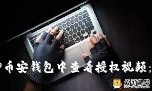 如何在TP币安钱包中查看授权视频：完整指南