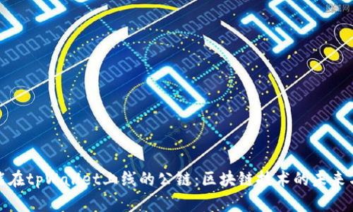 探索能在tpWallet上线的公链：区块链技术的未来与发展