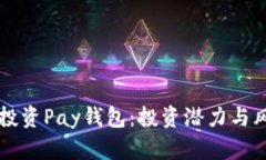 区块链投资Pay钱包：投资潜力与风险解析