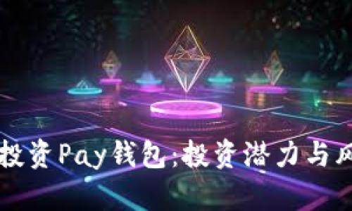 区块链投资Pay钱包：投资潜力与风险解析