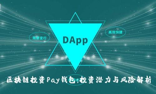 区块链投资Pay钱包：投资潜力与风险解析
