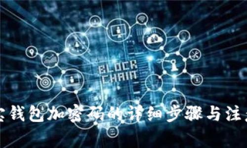 支付宝钱包加密码的详细步骤与注意事项