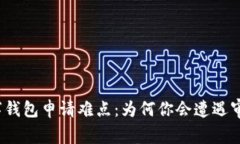 揭秘数字钱包申请难点：为何你会遭遇审批困境