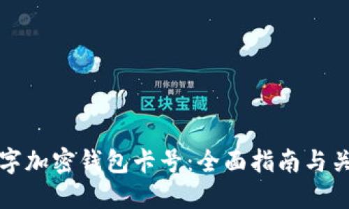 如何选择数字加密钱包卡号：全面指南与关键考虑因素