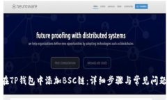 如何在TP钱包中添加BSC链：详细步骤与常见问题解