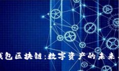 探索星际钱包区块链：数字资产的未来与技术创