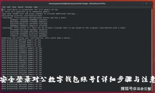 如何安全登录对公数字钱包账号？详细步骤与注意事项