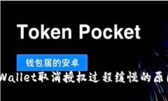 深入解析：tpWallet取消授权过程缓慢的原因及解决
