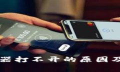 tpWallet浏览器打不开的原因及解决方案详解