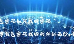 数字钱包密码如何找回密码揭开数字钱包密码找