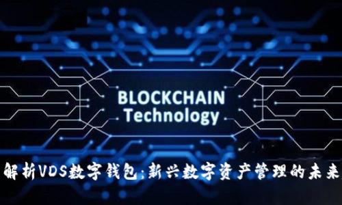 全面解析VDS数字钱包：新兴数字资产管理的未来趋势