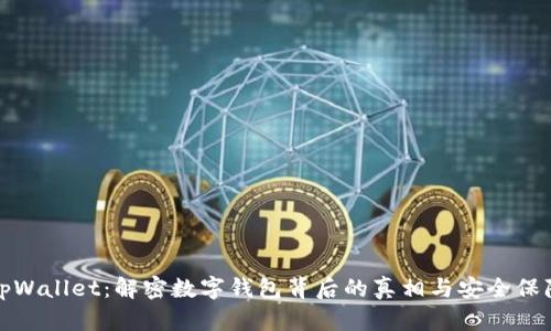 tpWallet：解密数字钱包背后的真相与安全保障