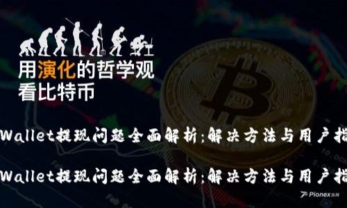 tpWallet提现问题全面解析：解决方法与用户指南

tpWallet提现问题全面解析：解决方法与用户指南