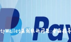 如何解决提币到tpWallet未到账的问题：全面指导与