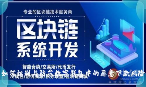 如何识别与防范数字钱包中的恶意下款风险