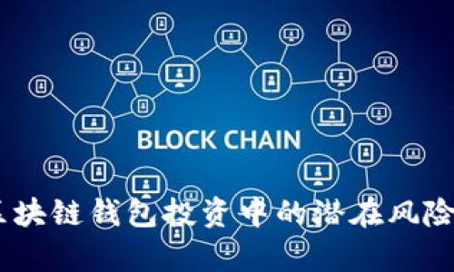 全面解析：区块链钱包投资中的潜在风险及防范策略