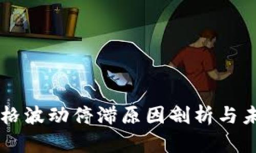 tpWallet价格波动停滞原因剖析与未来走势展望