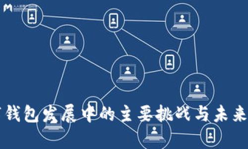 当前数字钱包发展中的主要挑战与未来解决方案