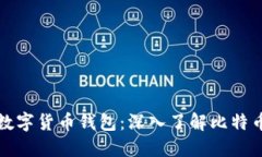 如何选择适合你的数字货币钱包：深入了解比特