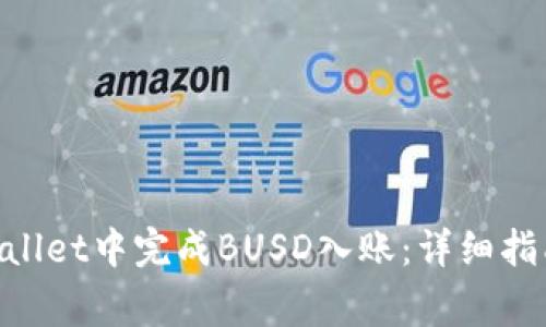 habiti如何在tpWallet中完成BUSD入账：详细指南与常见问题解答