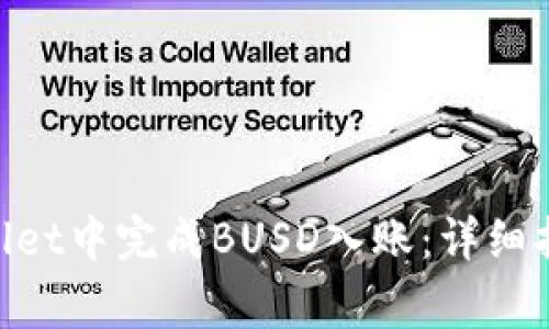 habiti如何在tpWallet中完成BUSD入账：详细指南与常见问题解答