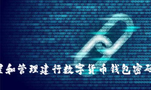 如何安全设置和管理建行数字货币钱包密码：步骤与技巧