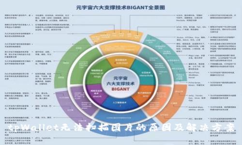 tpWallet无法扫描图片的原因及解决方案