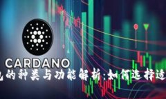 BHD数字钱包的种类与功能解析：如何选择适合你