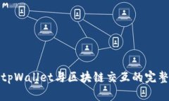 使用tpWallet与区块链交互的完整指南