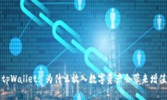 探索tpWallet: 为什么放入数字资产会带来增值潜力